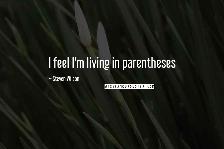 Steven Wilson Quotes: I feel I'm living in parentheses