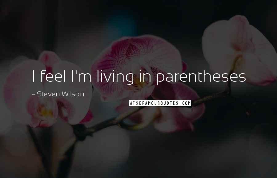 Steven Wilson Quotes: I feel I'm living in parentheses