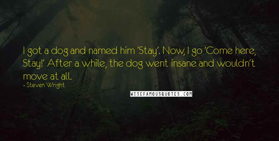 Steven Wright Quotes: I got a dog and named him 'Stay'. Now, I go 'Come here, Stay!' After a while, the dog went insane and wouldn't move at all.