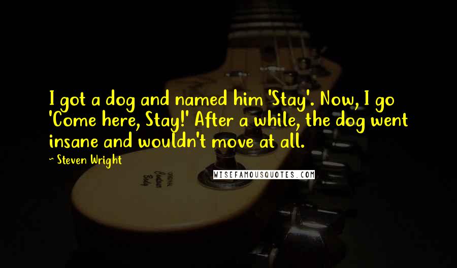 Steven Wright Quotes: I got a dog and named him 'Stay'. Now, I go 'Come here, Stay!' After a while, the dog went insane and wouldn't move at all.