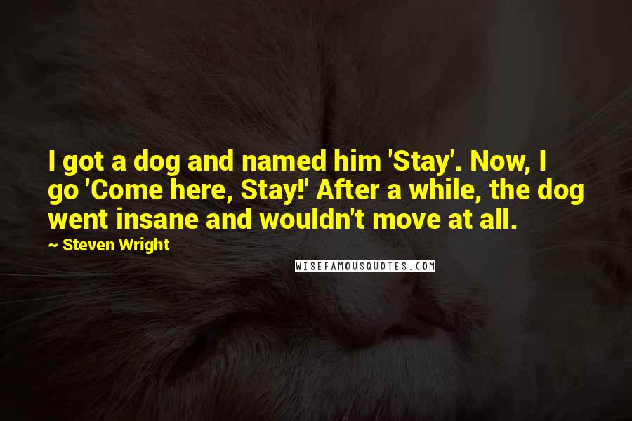 Steven Wright Quotes: I got a dog and named him 'Stay'. Now, I go 'Come here, Stay!' After a while, the dog went insane and wouldn't move at all.