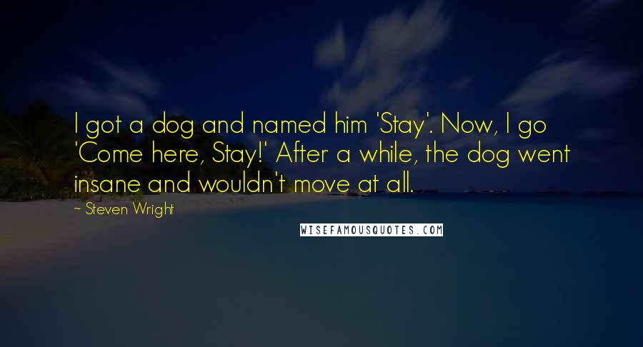 Steven Wright Quotes: I got a dog and named him 'Stay'. Now, I go 'Come here, Stay!' After a while, the dog went insane and wouldn't move at all.