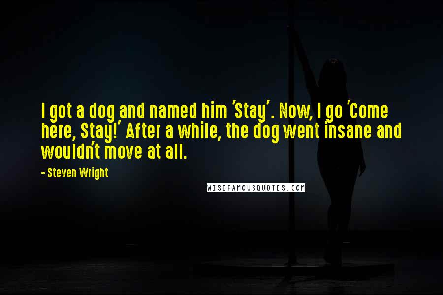 Steven Wright Quotes: I got a dog and named him 'Stay'. Now, I go 'Come here, Stay!' After a while, the dog went insane and wouldn't move at all.