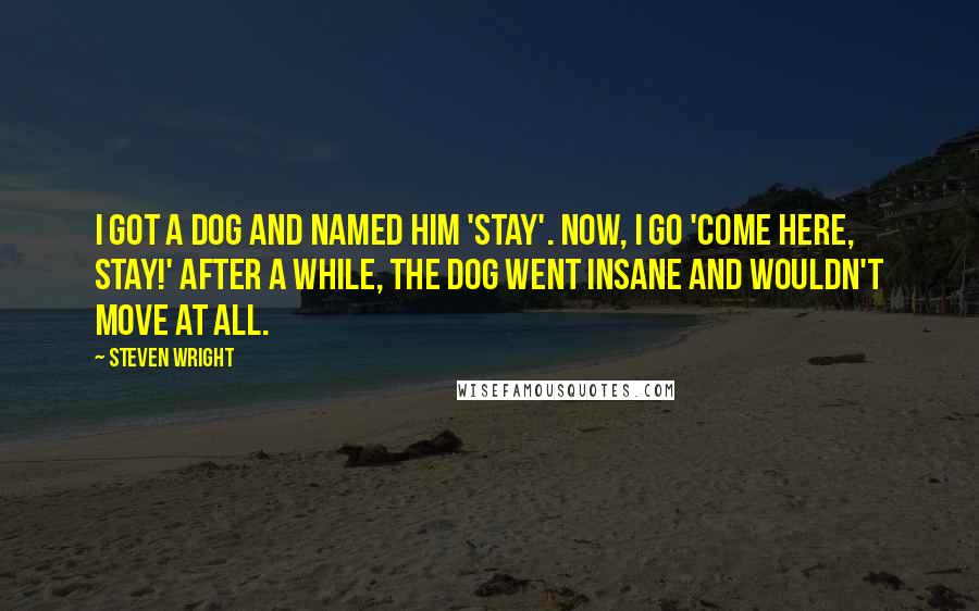 Steven Wright Quotes: I got a dog and named him 'Stay'. Now, I go 'Come here, Stay!' After a while, the dog went insane and wouldn't move at all.