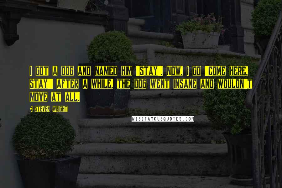 Steven Wright Quotes: I got a dog and named him 'Stay'. Now, I go 'Come here, Stay!' After a while, the dog went insane and wouldn't move at all.
