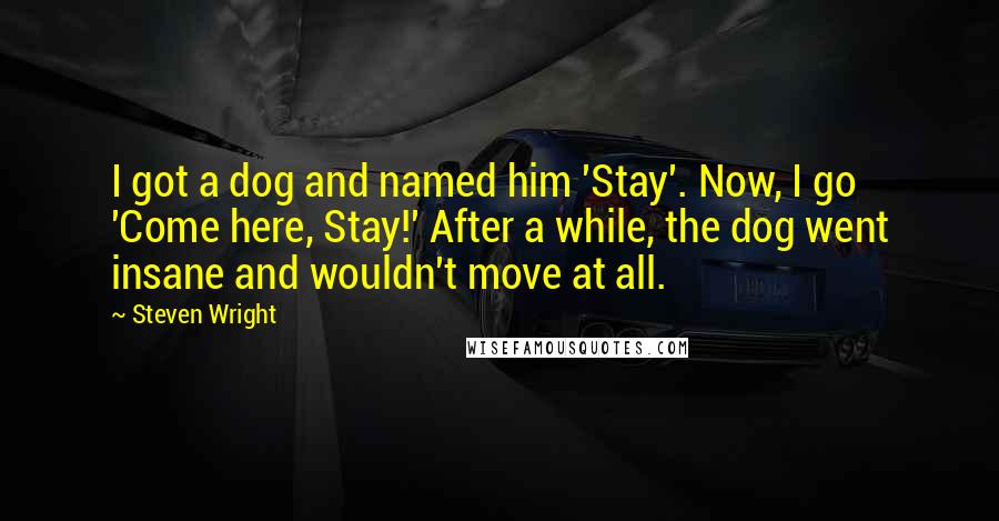 Steven Wright Quotes: I got a dog and named him 'Stay'. Now, I go 'Come here, Stay!' After a while, the dog went insane and wouldn't move at all.