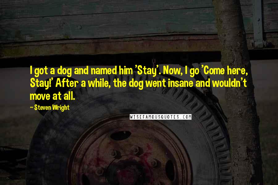 Steven Wright Quotes: I got a dog and named him 'Stay'. Now, I go 'Come here, Stay!' After a while, the dog went insane and wouldn't move at all.