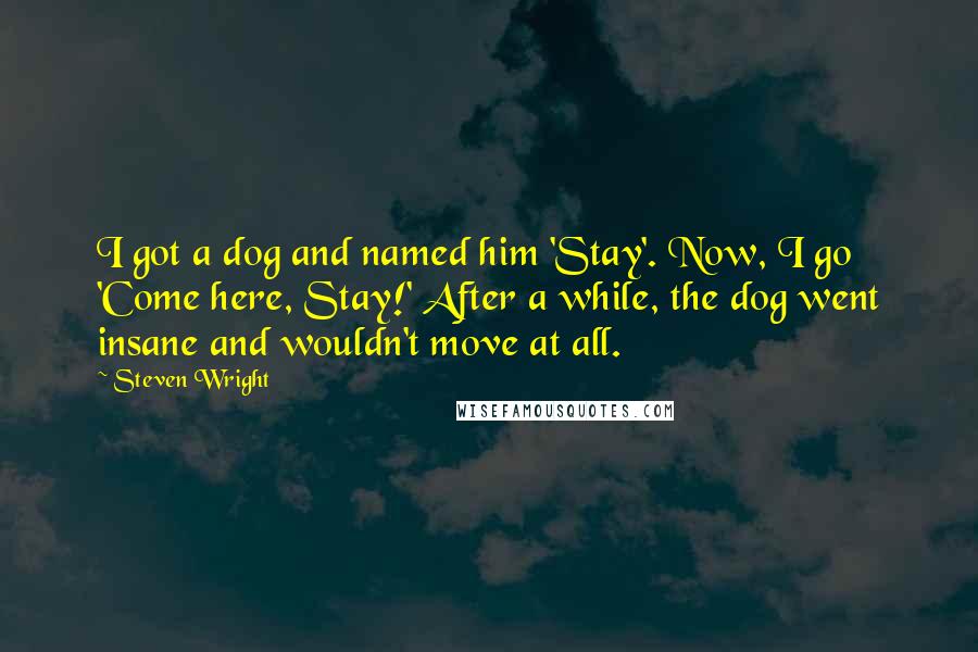 Steven Wright Quotes: I got a dog and named him 'Stay'. Now, I go 'Come here, Stay!' After a while, the dog went insane and wouldn't move at all.