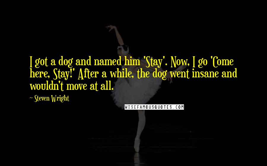 Steven Wright Quotes: I got a dog and named him 'Stay'. Now, I go 'Come here, Stay!' After a while, the dog went insane and wouldn't move at all.