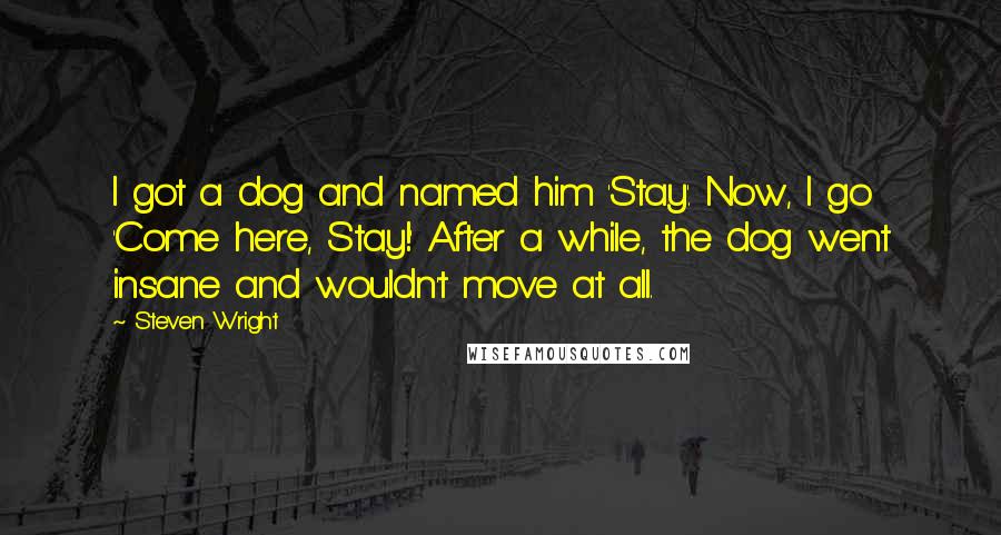 Steven Wright Quotes: I got a dog and named him 'Stay'. Now, I go 'Come here, Stay!' After a while, the dog went insane and wouldn't move at all.