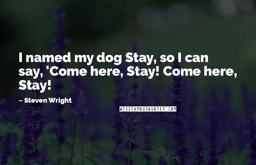 Steven Wright Quotes: I named my dog Stay, so I can say, 'Come here, Stay! Come here, Stay!