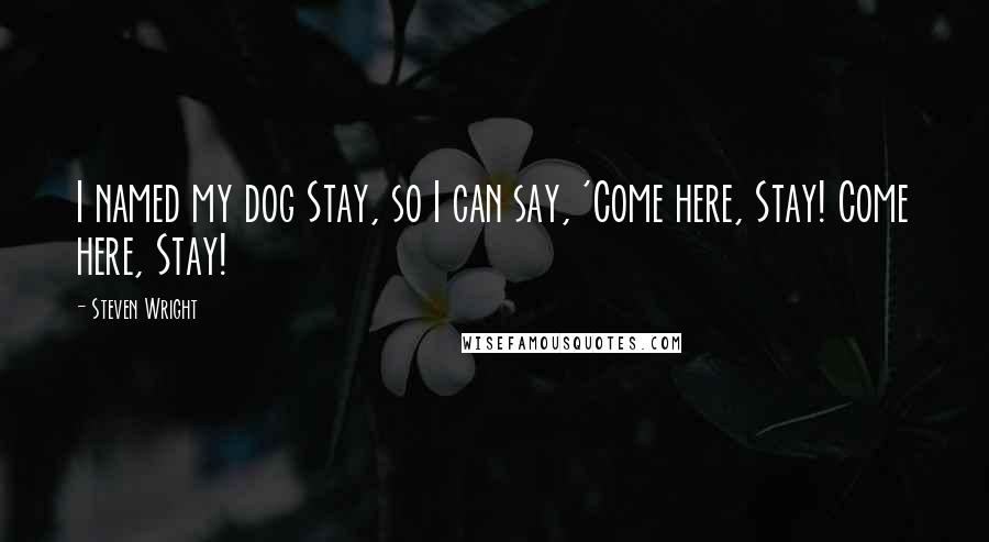 Steven Wright Quotes: I named my dog Stay, so I can say, 'Come here, Stay! Come here, Stay!