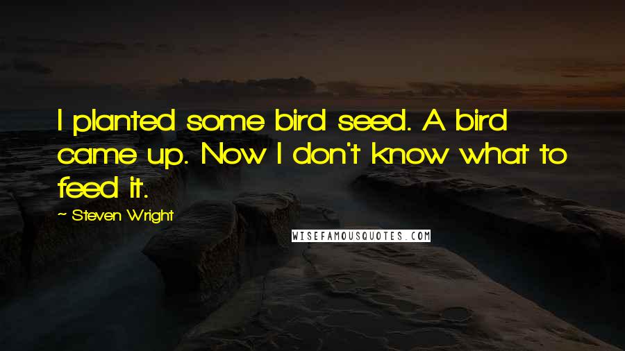 Steven Wright Quotes: I planted some bird seed. A bird came up. Now I don't know what to feed it.