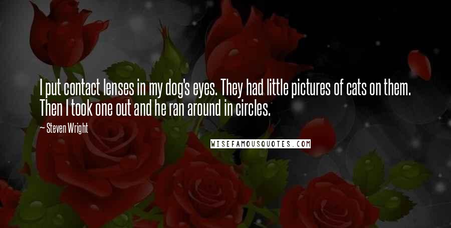 Steven Wright Quotes: I put contact lenses in my dog's eyes. They had little pictures of cats on them. Then I took one out and he ran around in circles.