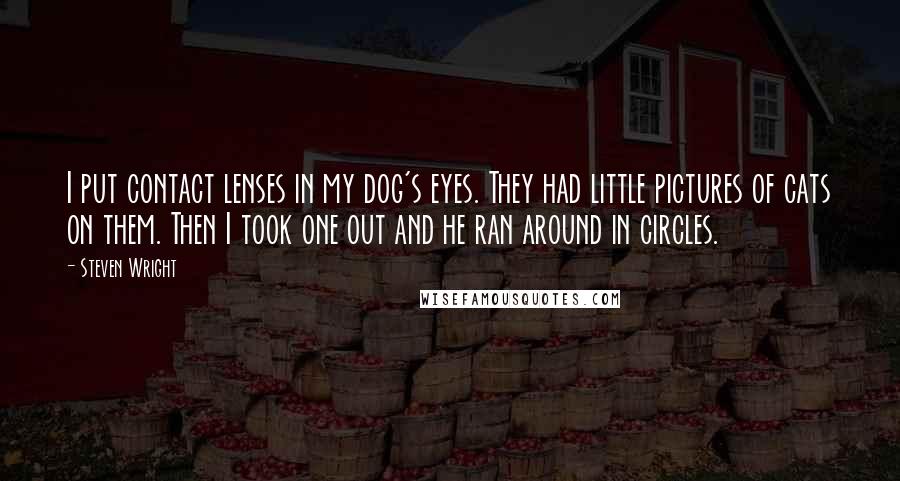 Steven Wright Quotes: I put contact lenses in my dog's eyes. They had little pictures of cats on them. Then I took one out and he ran around in circles.