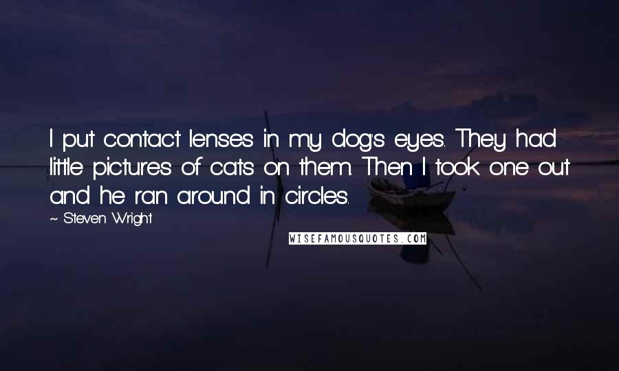 Steven Wright Quotes: I put contact lenses in my dog's eyes. They had little pictures of cats on them. Then I took one out and he ran around in circles.