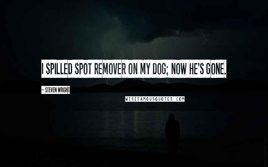 Steven Wright Quotes: I spilled spot remover on my dog; now he's gone.