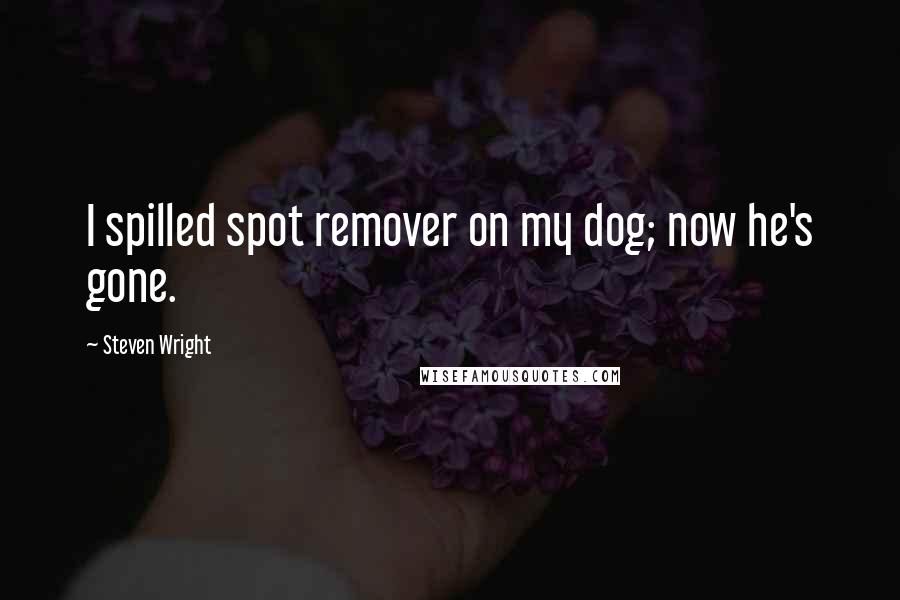 Steven Wright Quotes: I spilled spot remover on my dog; now he's gone.