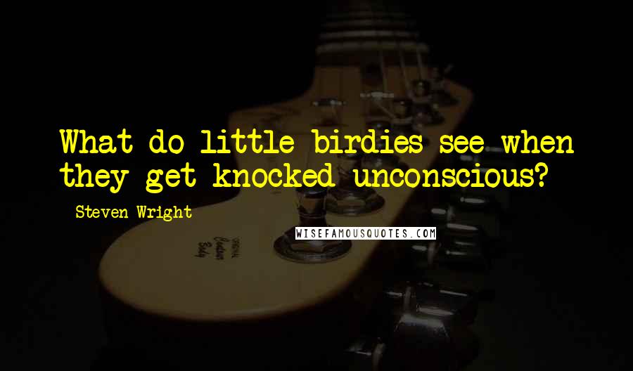 Steven Wright Quotes: What do little birdies see when they get knocked unconscious?