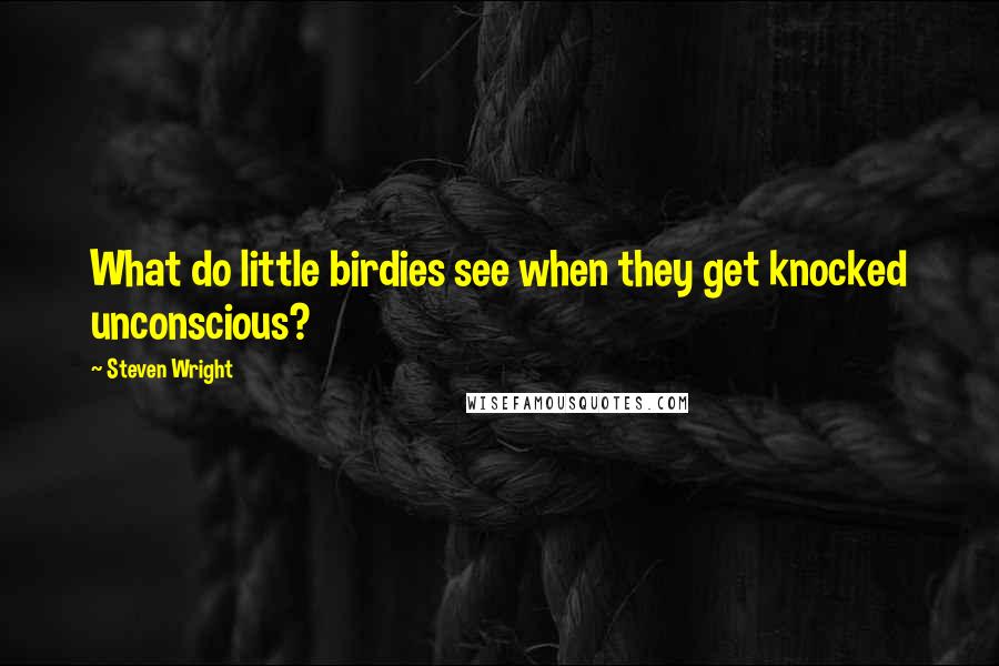 Steven Wright Quotes: What do little birdies see when they get knocked unconscious?