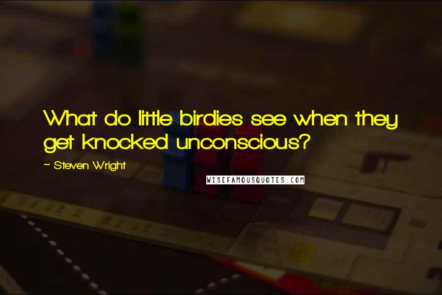 Steven Wright Quotes: What do little birdies see when they get knocked unconscious?