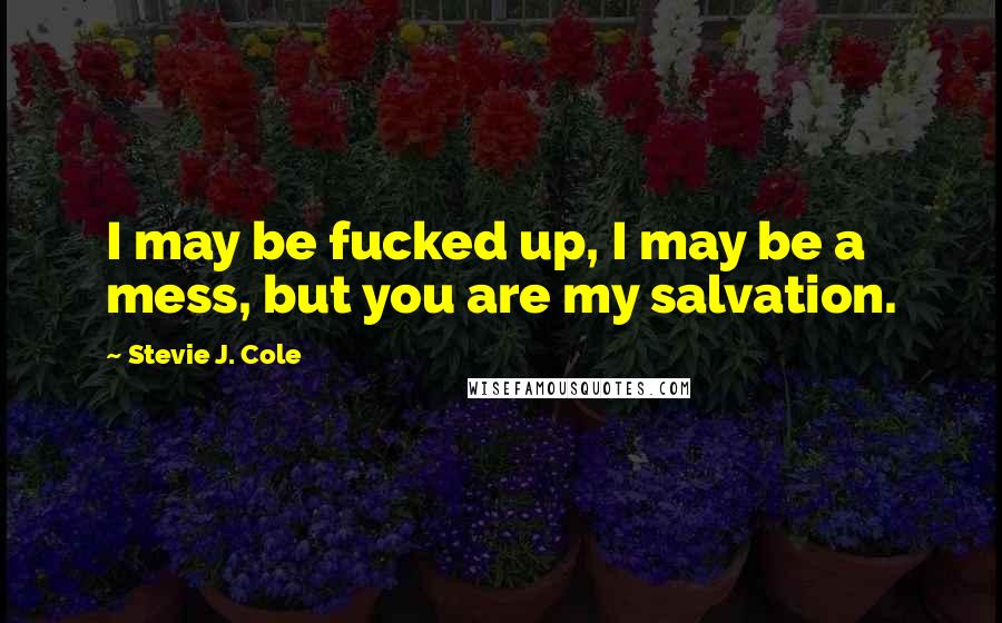 Stevie J. Cole Quotes: I may be fucked up, I may be a mess, but you are my salvation.