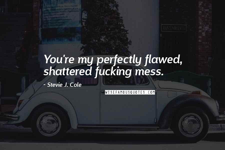 Stevie J. Cole Quotes: You're my perfectly flawed, shattered fucking mess.