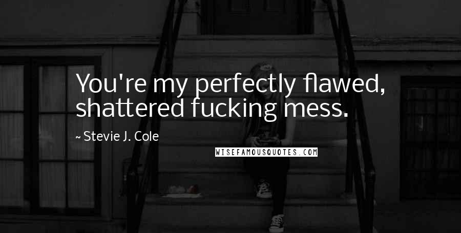 Stevie J. Cole Quotes: You're my perfectly flawed, shattered fucking mess.