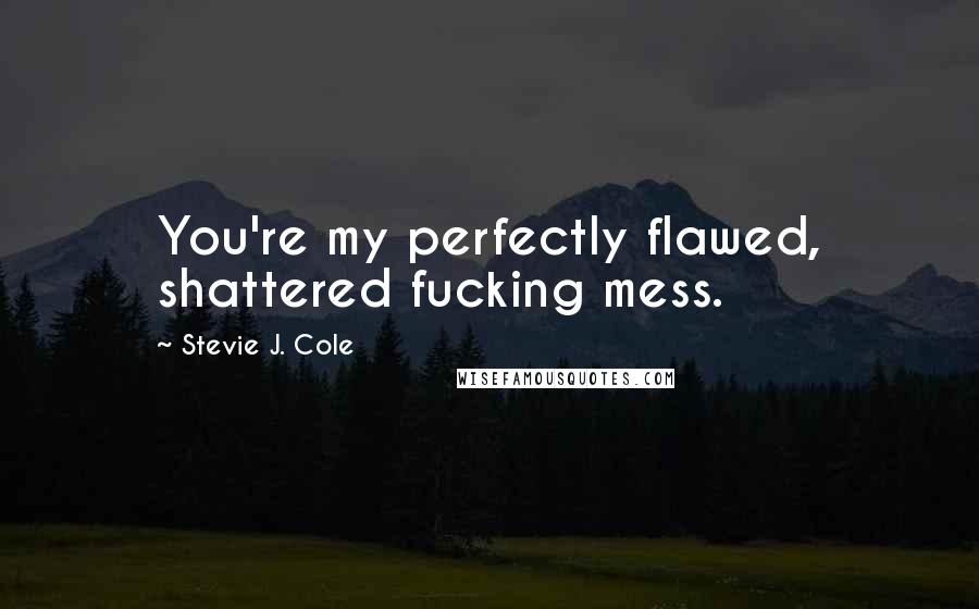 Stevie J. Cole Quotes: You're my perfectly flawed, shattered fucking mess.