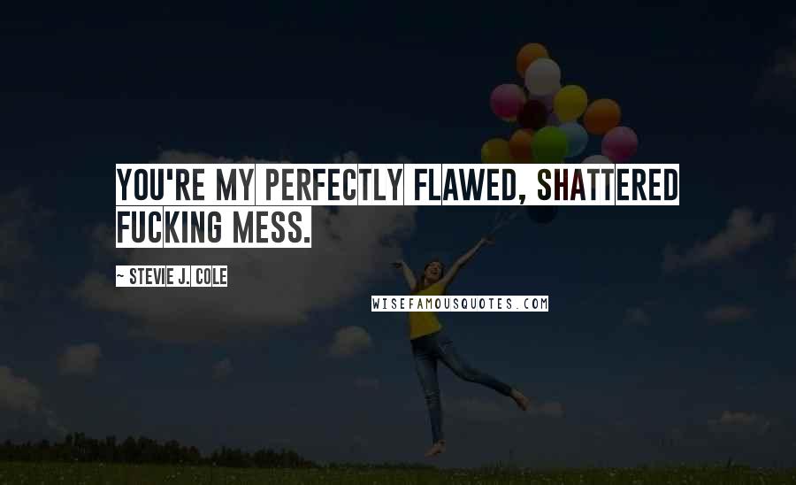 Stevie J. Cole Quotes: You're my perfectly flawed, shattered fucking mess.