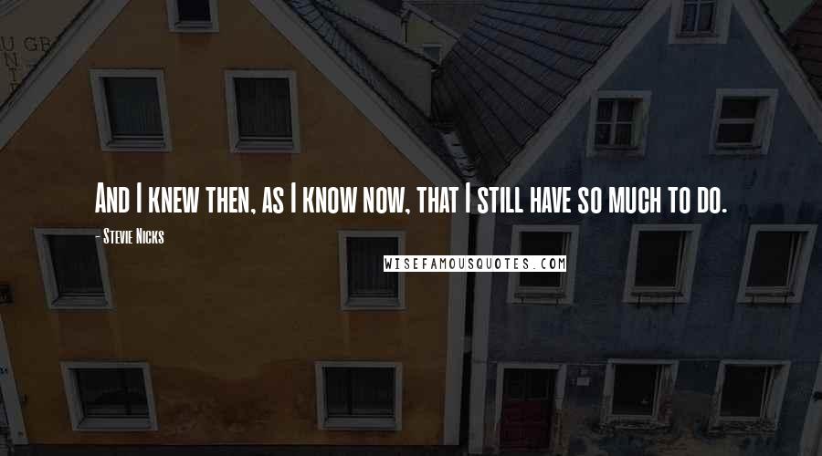 Stevie Nicks Quotes: And I knew then, as I know now, that I still have so much to do.