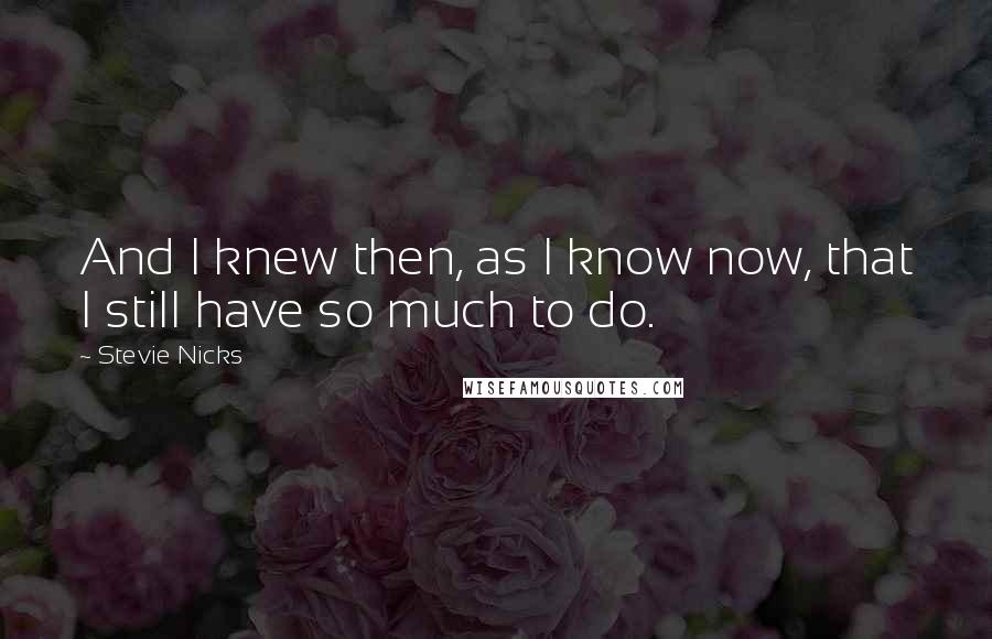 Stevie Nicks Quotes: And I knew then, as I know now, that I still have so much to do.