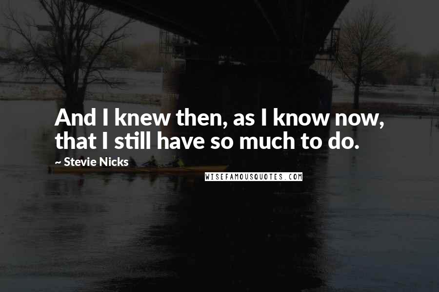Stevie Nicks Quotes: And I knew then, as I know now, that I still have so much to do.