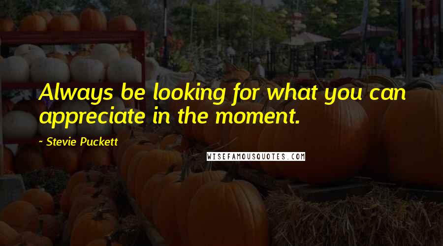 Stevie Puckett Quotes: Always be looking for what you can appreciate in the moment.