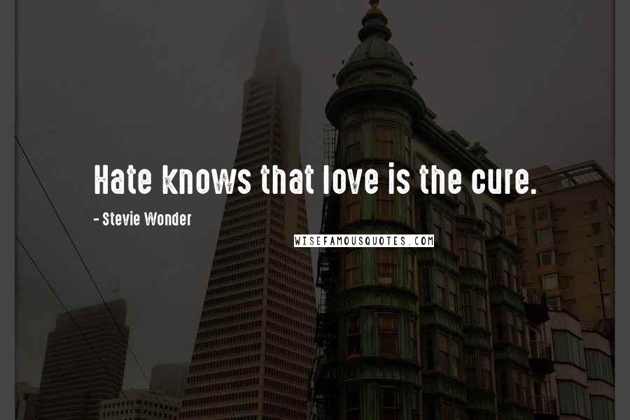 Stevie Wonder Quotes: Hate knows that love is the cure.