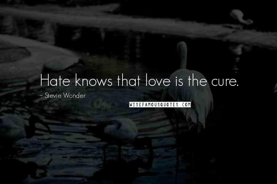 Stevie Wonder Quotes: Hate knows that love is the cure.