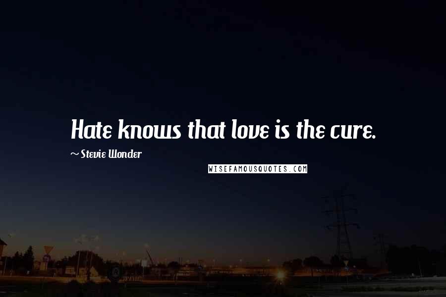 Stevie Wonder Quotes: Hate knows that love is the cure.