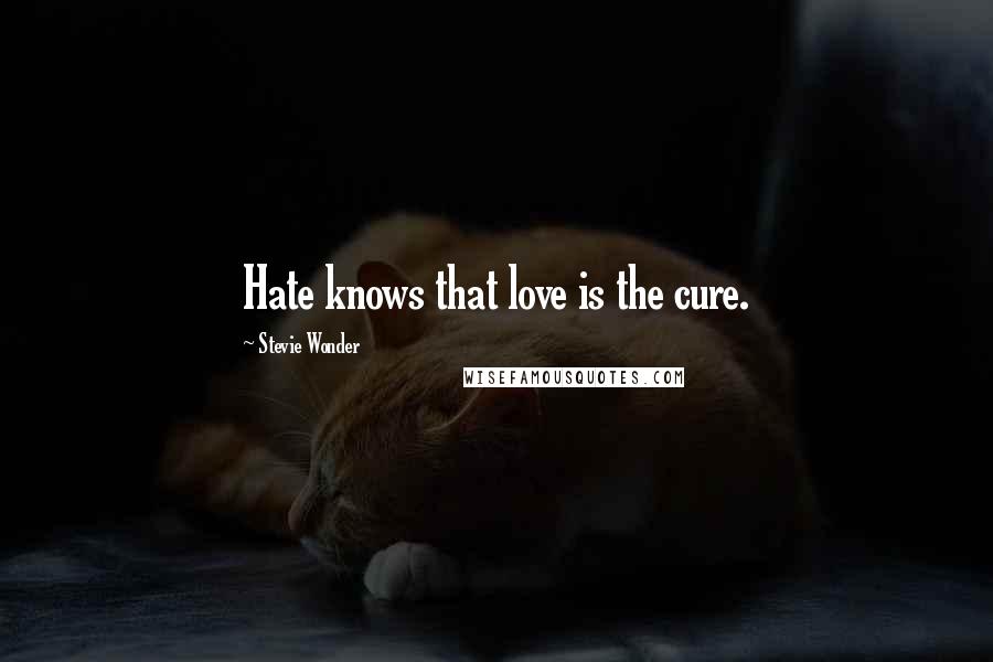 Stevie Wonder Quotes: Hate knows that love is the cure.