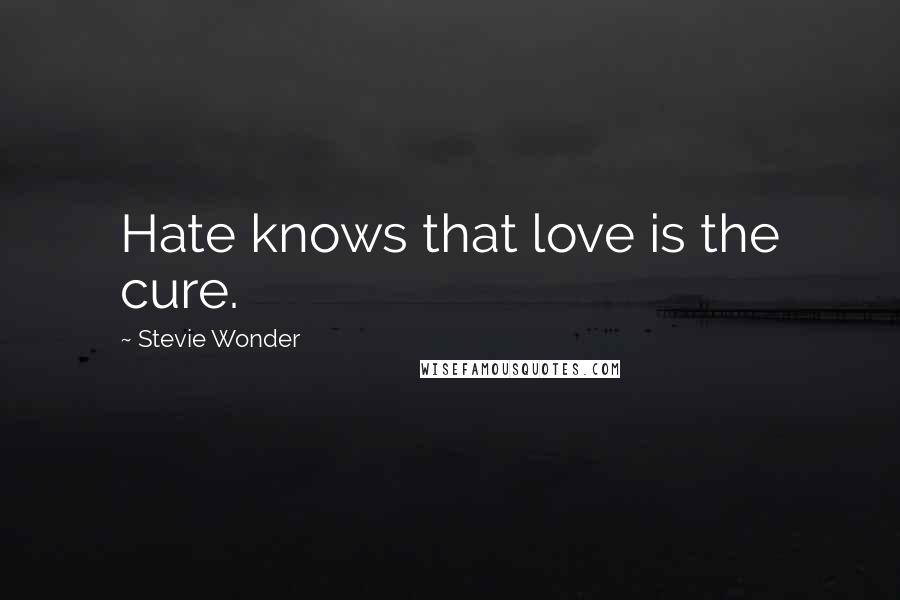 Stevie Wonder Quotes: Hate knows that love is the cure.