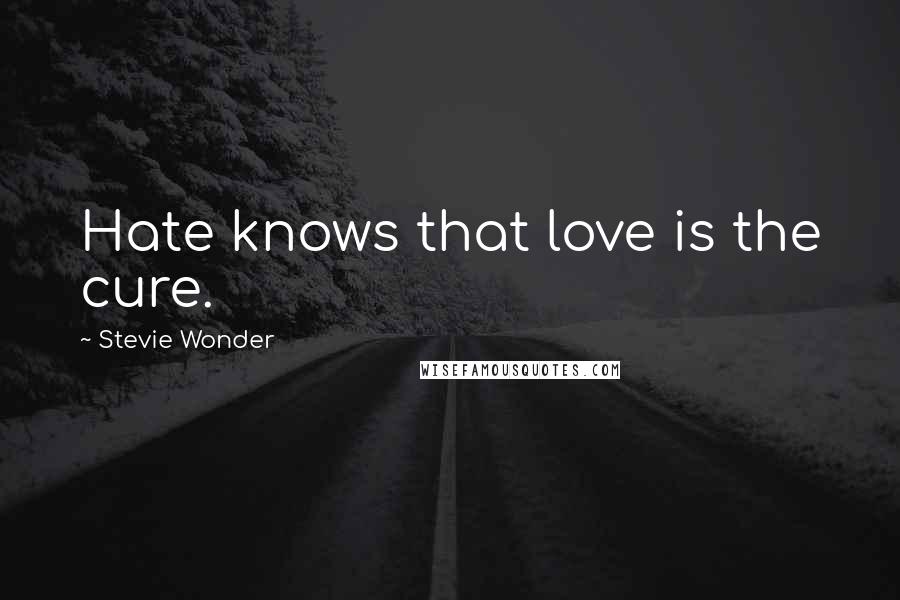 Stevie Wonder Quotes: Hate knows that love is the cure.