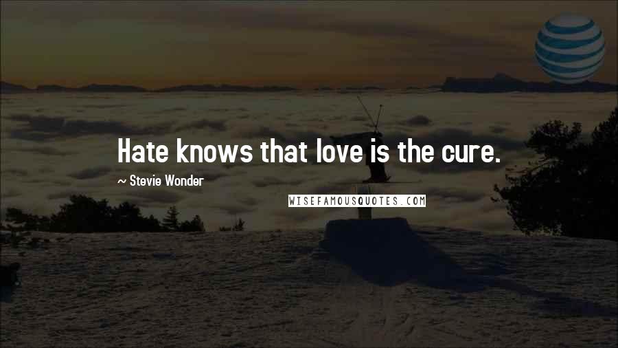 Stevie Wonder Quotes: Hate knows that love is the cure.