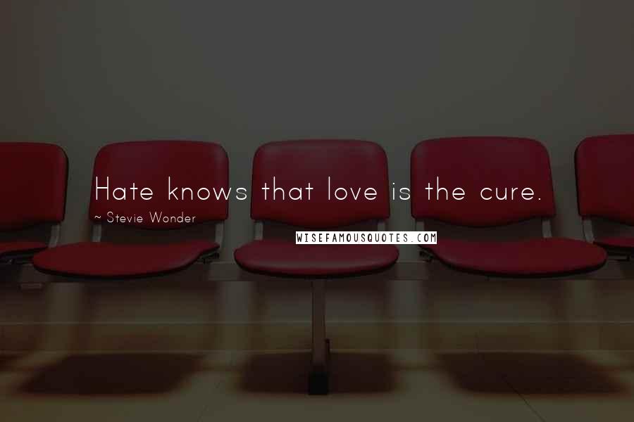 Stevie Wonder Quotes: Hate knows that love is the cure.