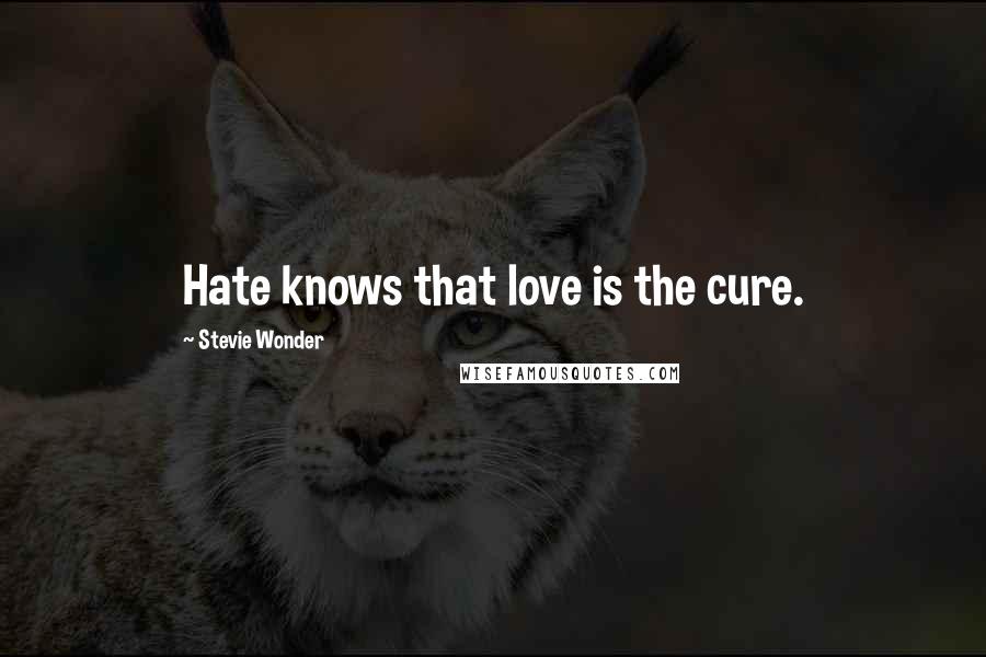 Stevie Wonder Quotes: Hate knows that love is the cure.