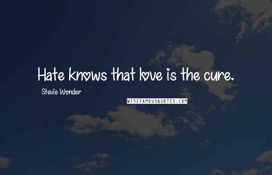 Stevie Wonder Quotes: Hate knows that love is the cure.