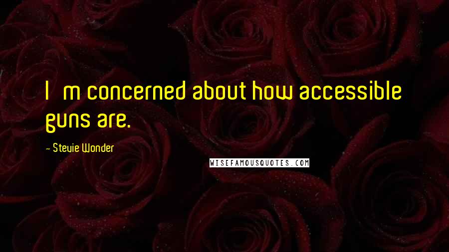 Stevie Wonder Quotes: I'm concerned about how accessible guns are.