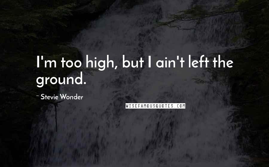 Stevie Wonder Quotes: I'm too high, but I ain't left the ground.