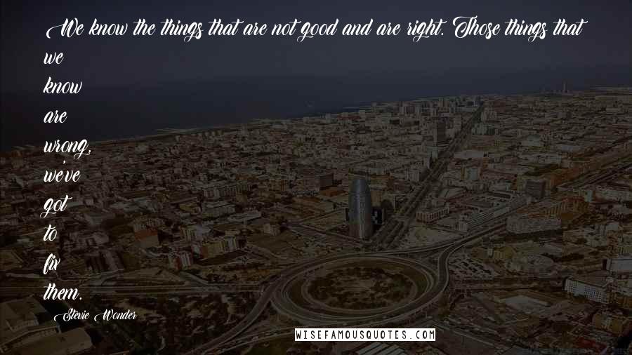 Stevie Wonder Quotes: We know the things that are not good and are right. Those things that we know are wrong, we've got to fix them.