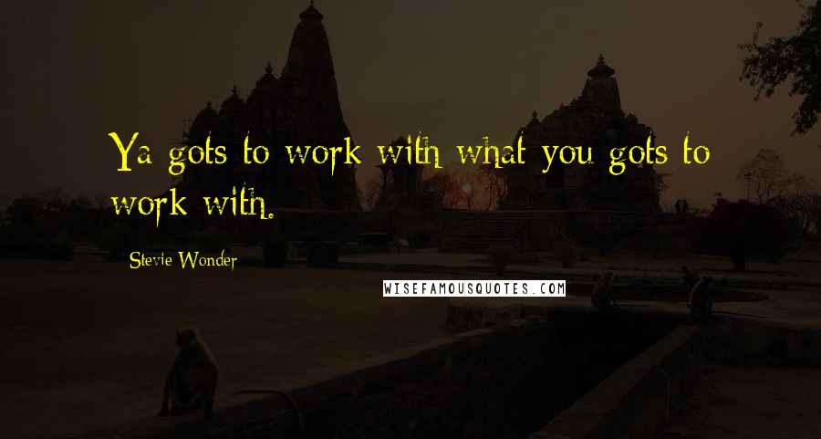 Stevie Wonder Quotes: Ya gots to work with what you gots to work with.