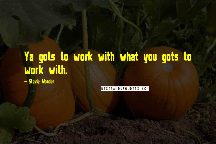 Stevie Wonder Quotes: Ya gots to work with what you gots to work with.