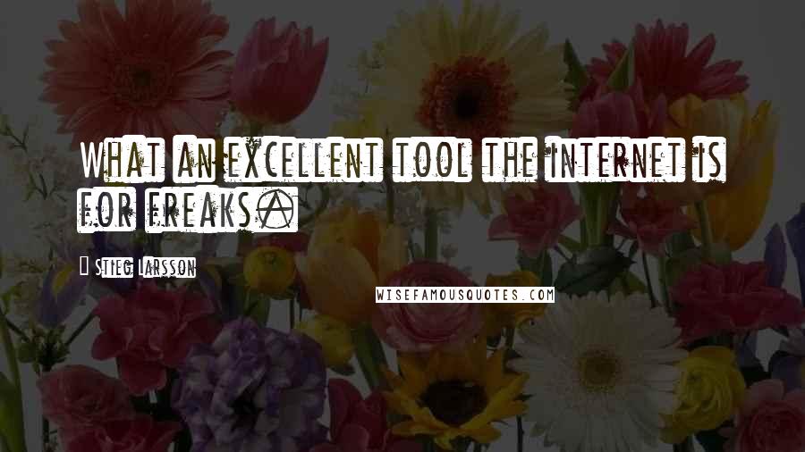 Stieg Larsson Quotes: What an excellent tool the internet is for freaks.